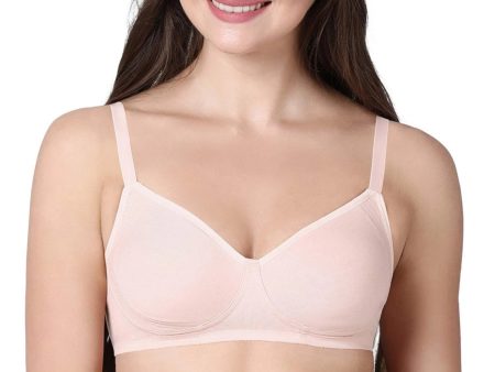 Enamor A042 Women s Cotton Everyday Non Padded And Wirefree Bra (Pearl) Supply