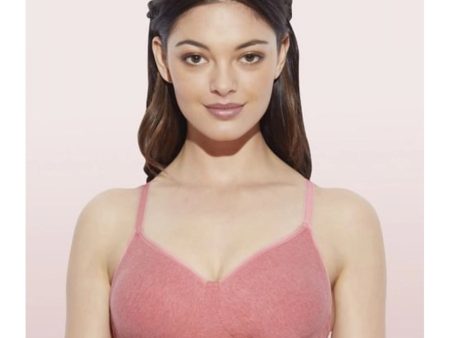 Enamor A042 Women s Cotton Everyday Non Padded And Wirefree Bra (Tomato-Melange) Online now