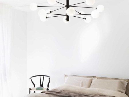 Cosmopolitan Ceiling Light 12Lt in White or Black Satin Brass For Cheap