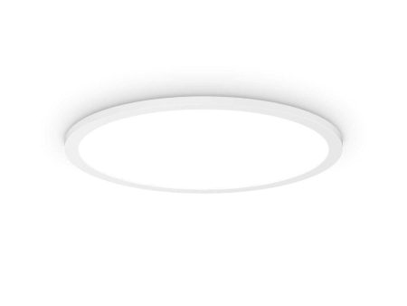 Fly Slim LED Ceiling Light 450mm 26w in White Fashion