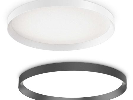 Fly LED Ceiling Light 600mm 53w in White, Black For Cheap